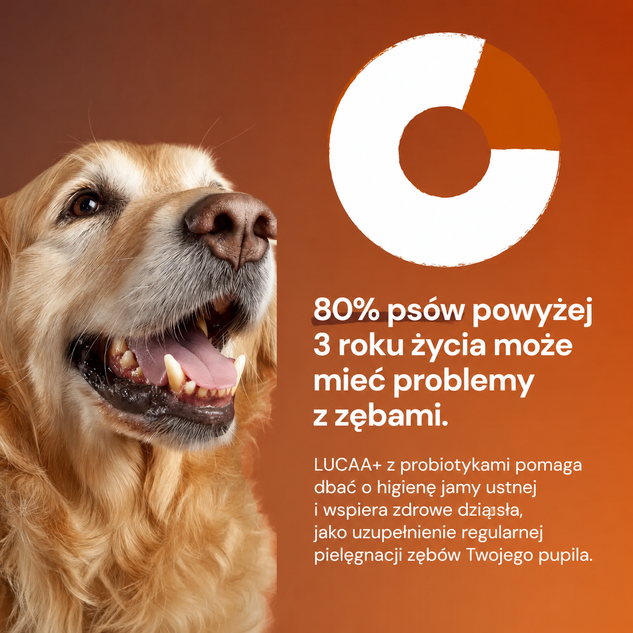 Lucaa+ Opieka stomatologiczna
