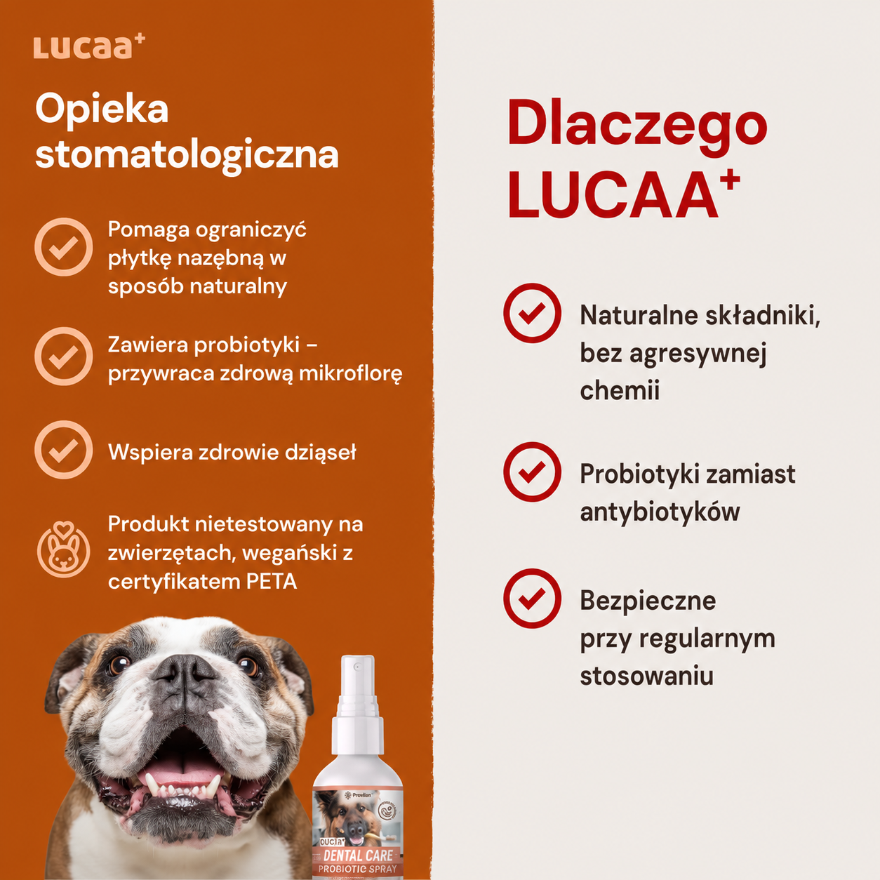 Lucaa+ Opieka stomatologiczna