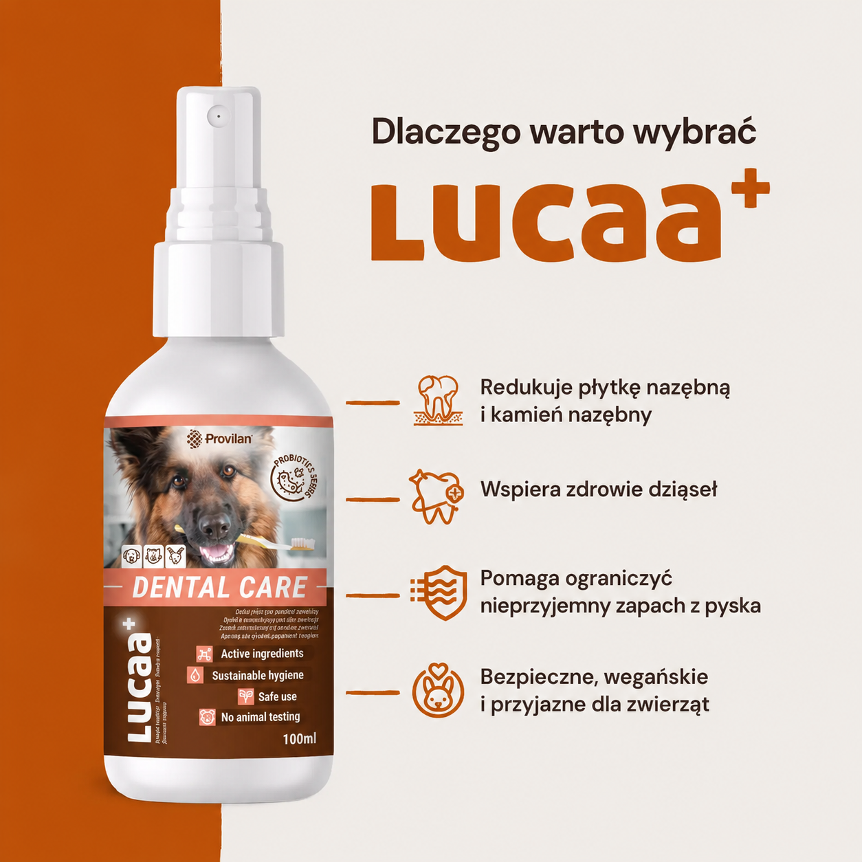 Lucaa+ Opieka stomatologiczna