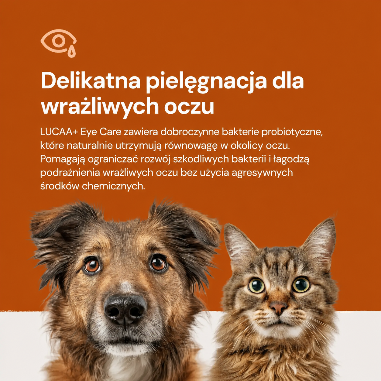 LUCAA+ Pielęgnacja oczu