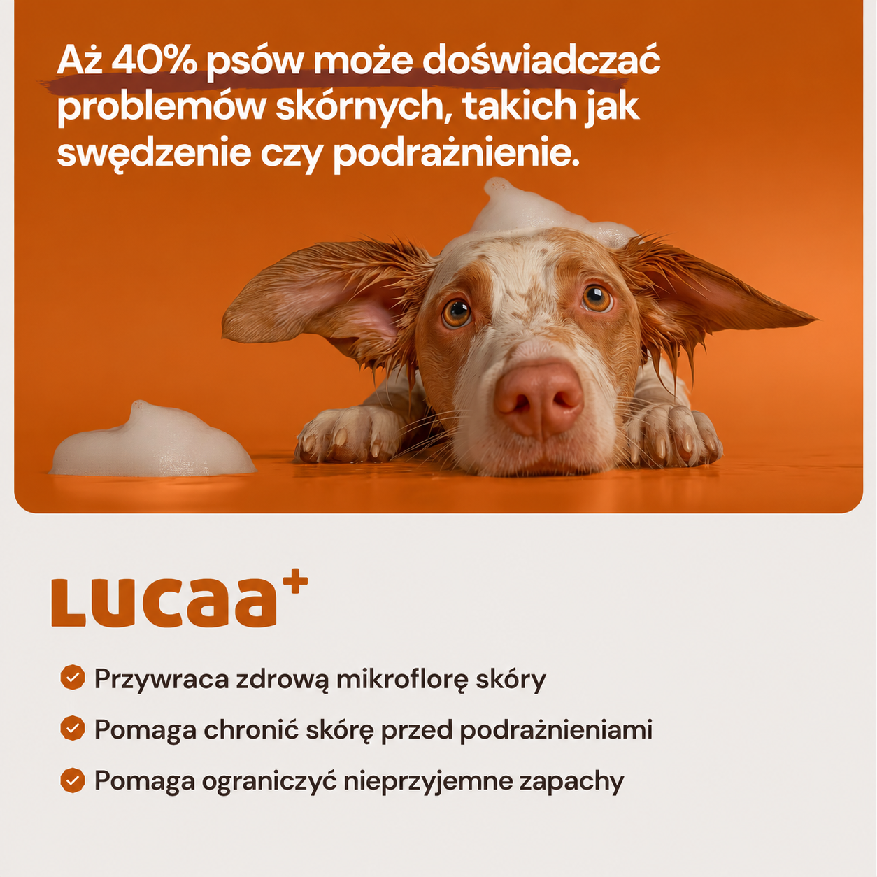 Szampon probiotyczny Lucaa+