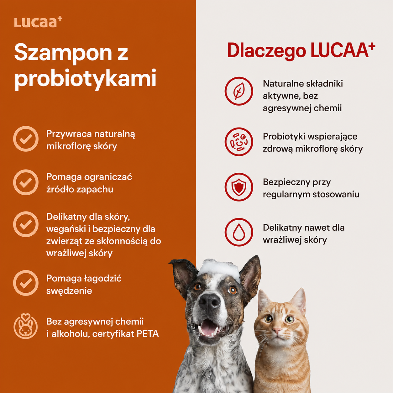 Szampon probiotyczny Lucaa+
