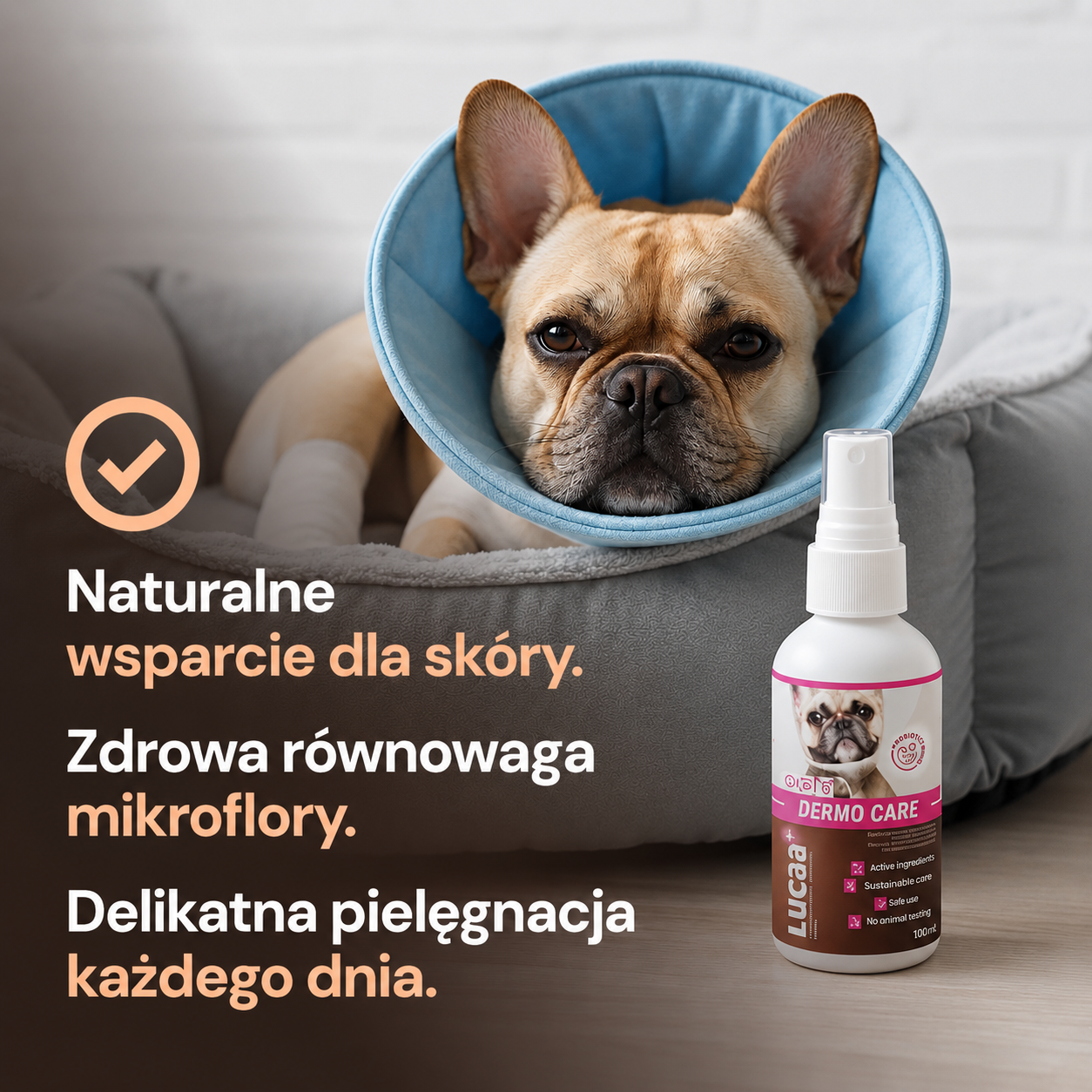 Lucaa+ Pielęgnacja ran