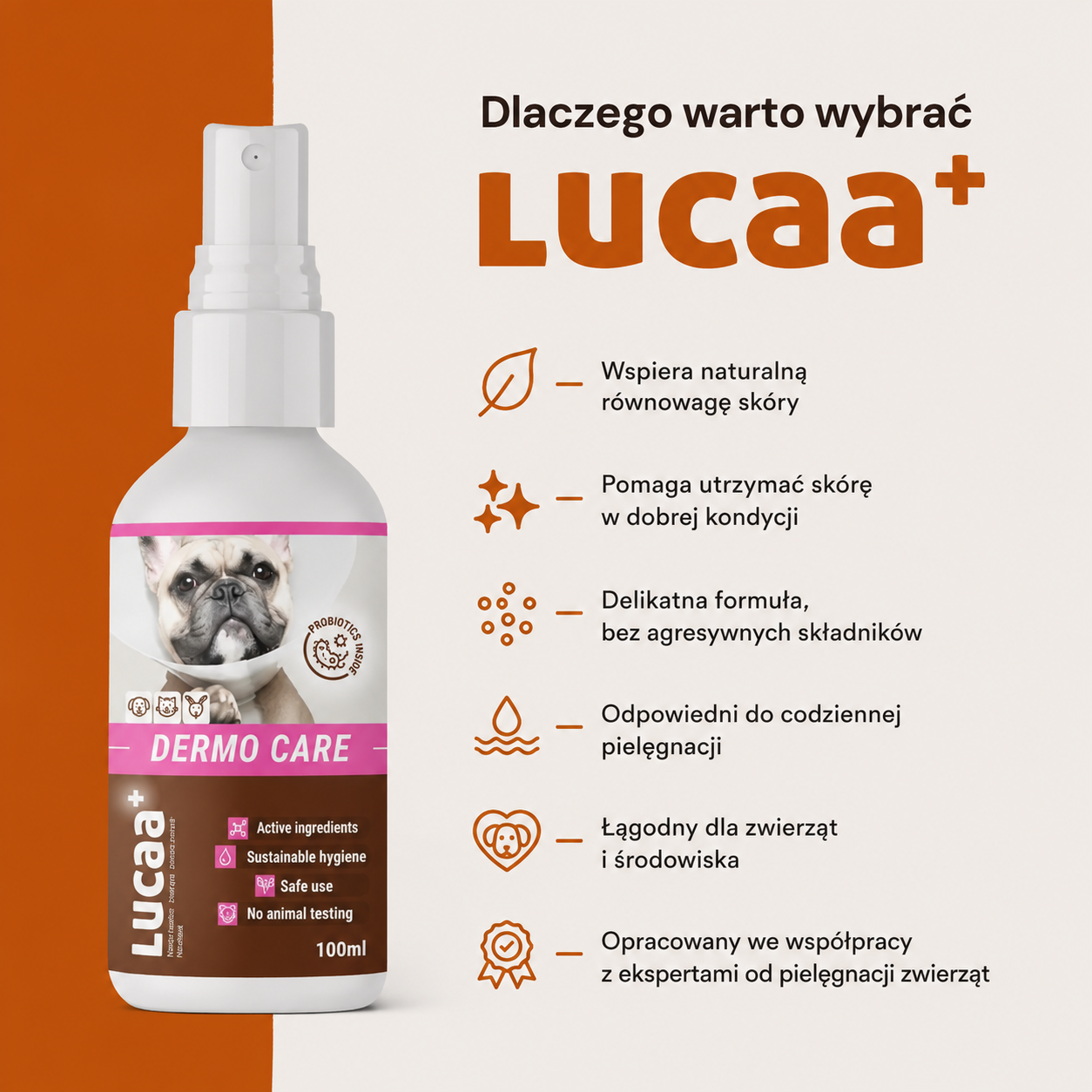 Lucaa+ Pielęgnacja ran