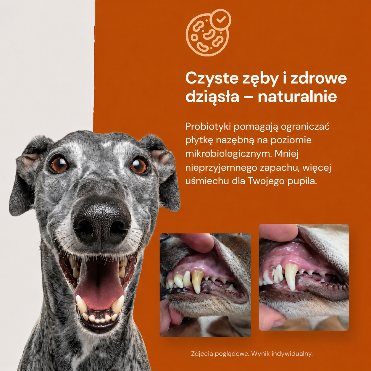 Lucaa+ Opieka stomatologiczna