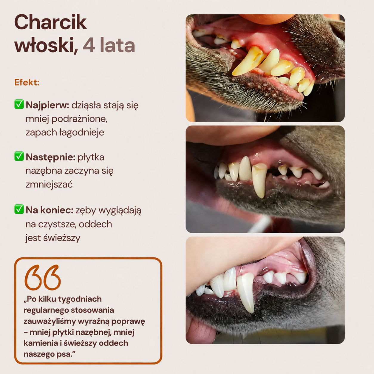 Lucaa+ Opieka stomatologiczna