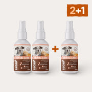 Lucaa+ Pielęgnacja zębów 2+1 ZA DARMO