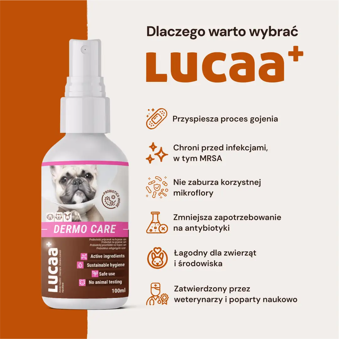 Lucaa+ Pielęgnacja ran