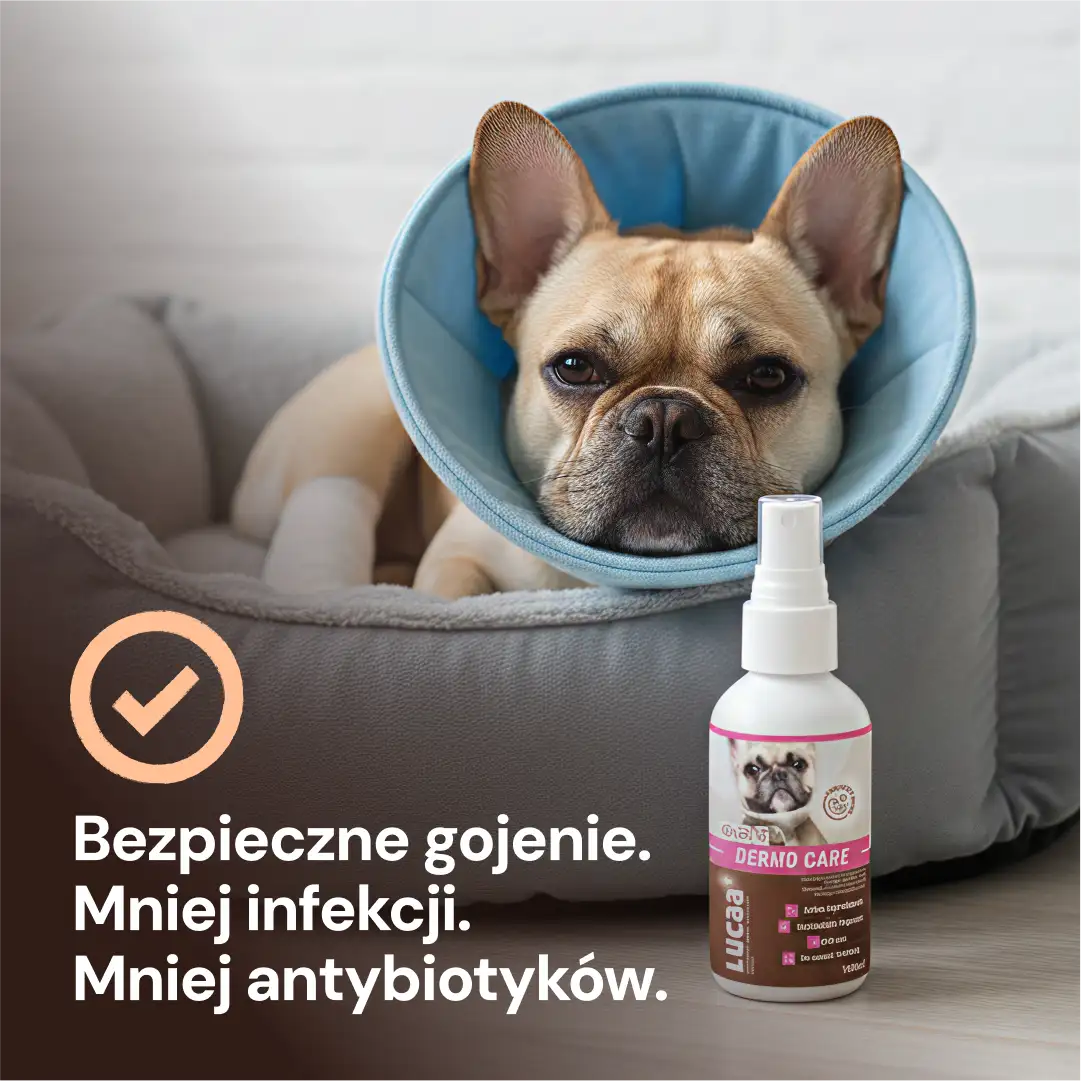 LUCAA PL