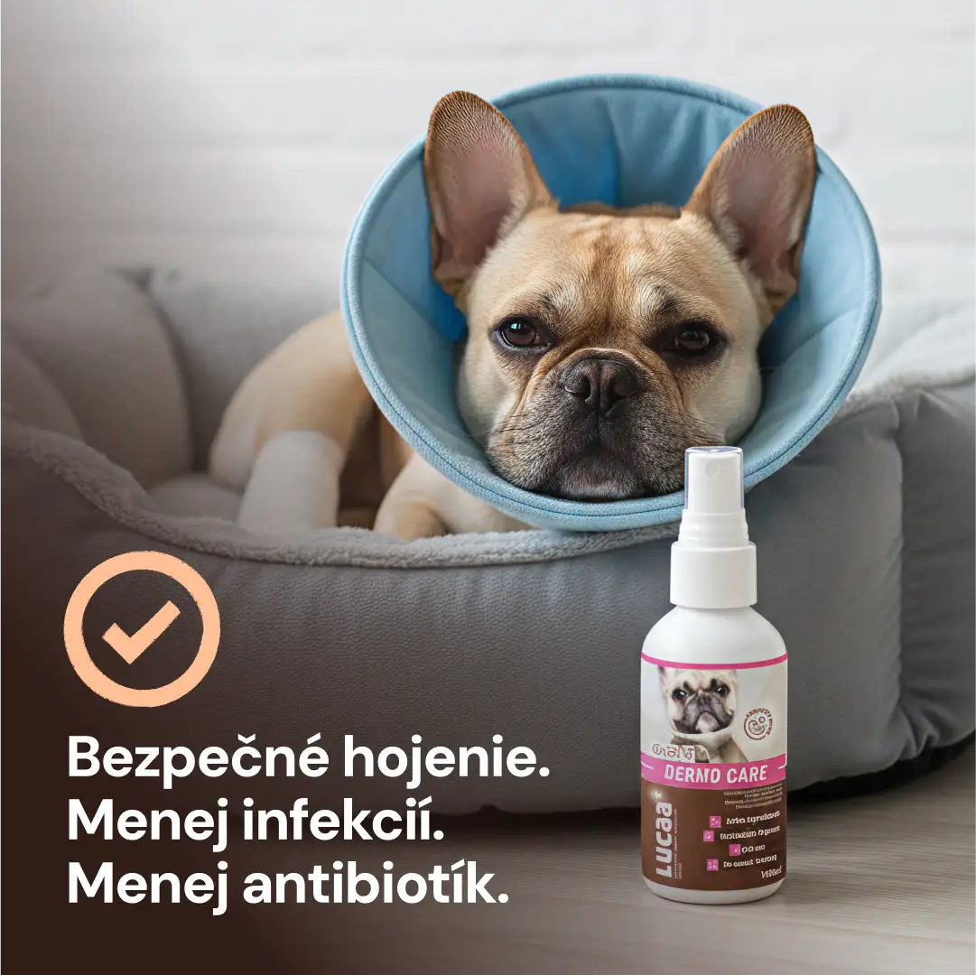 Lucaa+ Pielęgnacja ran