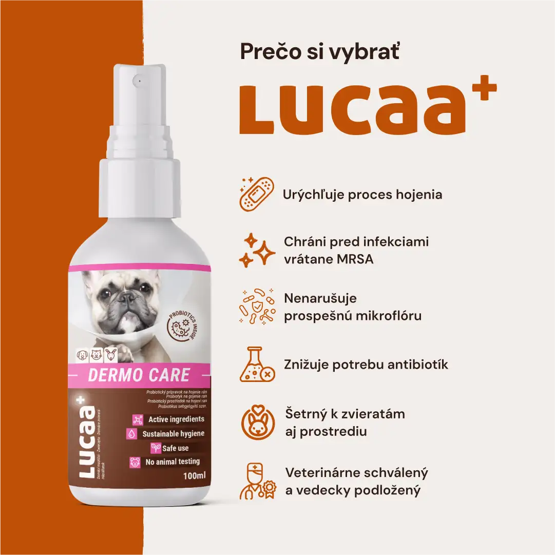 Lucaa+ Pielęgnacja ran