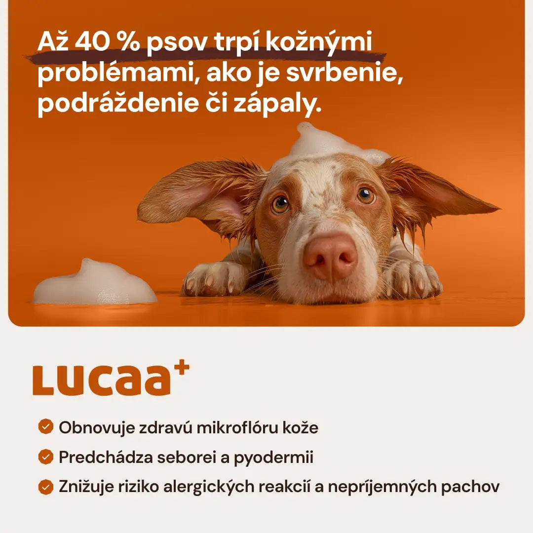 Szampon probiotyczny Lucaa+