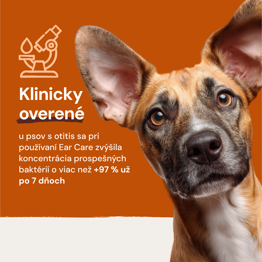 Lucaa+ Pielęgnacja uszu