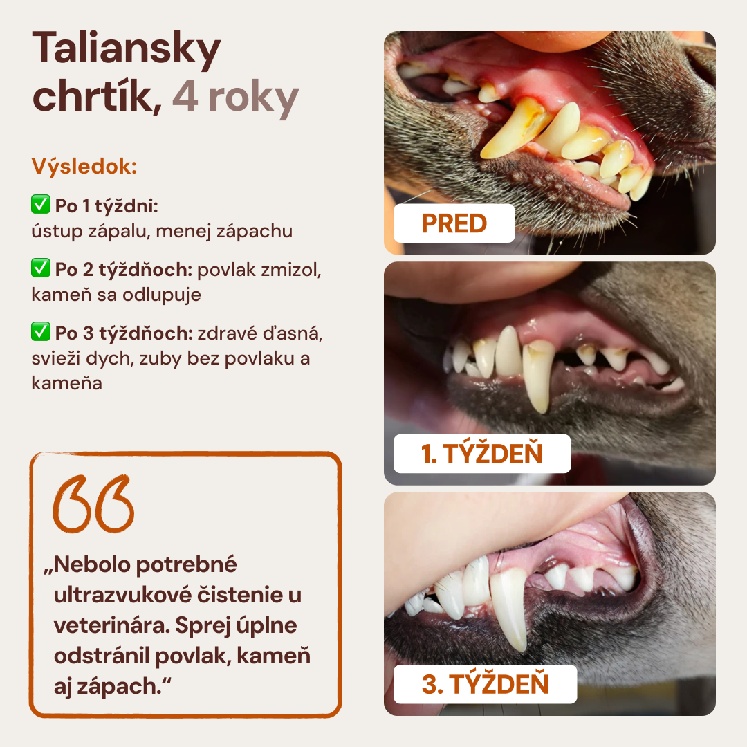 Lucaa+ Opieka stomatologiczna