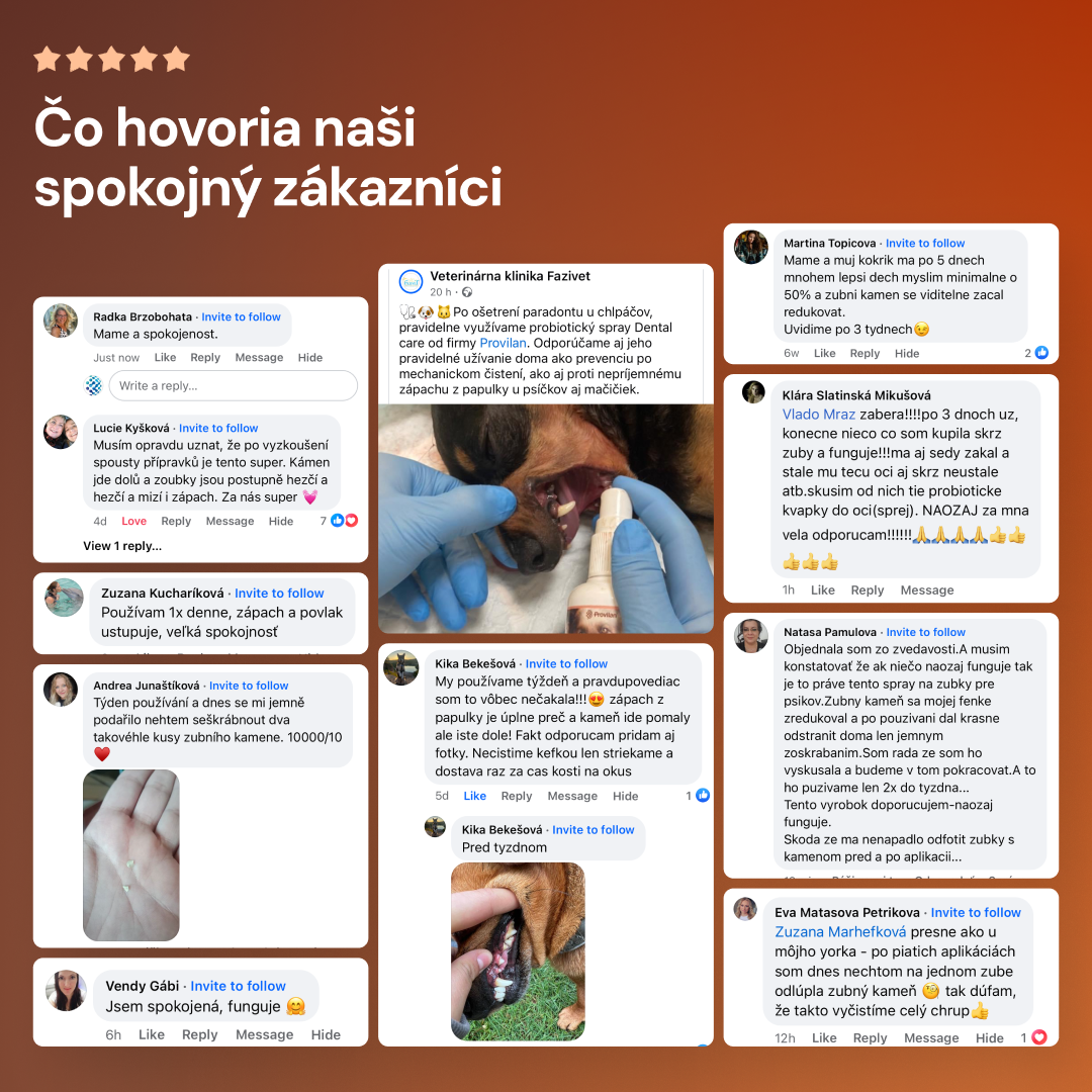 Lucaa+ Opieka stomatologiczna