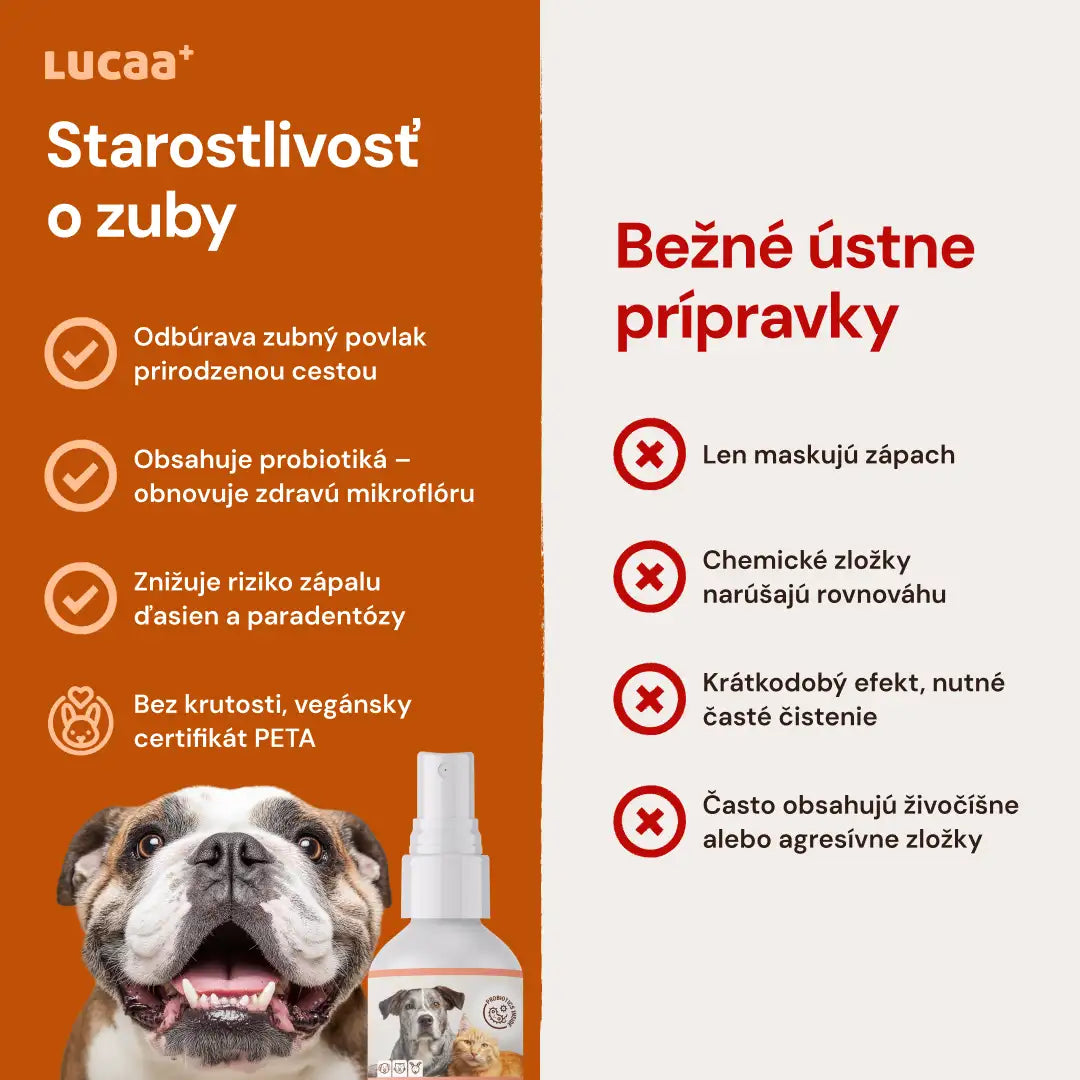 Lucaa+ Opieka stomatologiczna